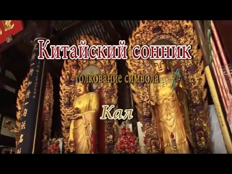 К Чему Снится Кал Женщине: Толкование и Значение Сна
