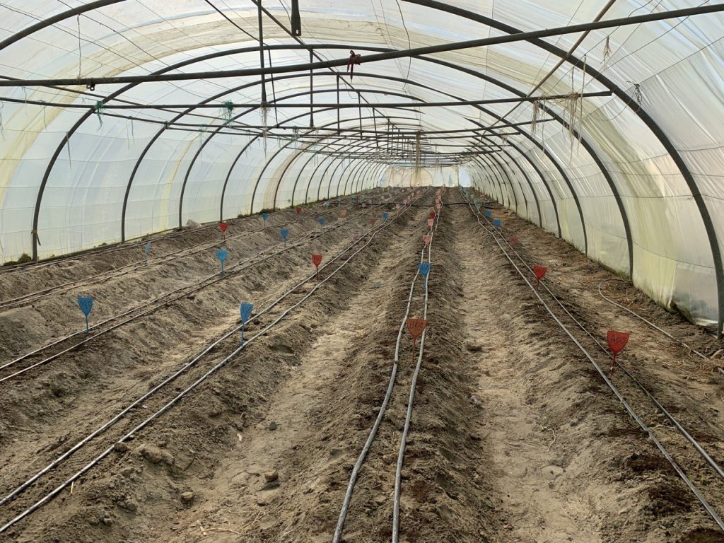 Дочка Скрябіна: біографія, особисте життя та кар'єра