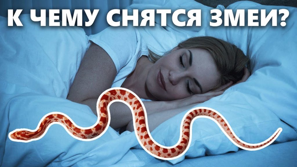 К Чему Снится Змея: символика, толкования и культурные значения