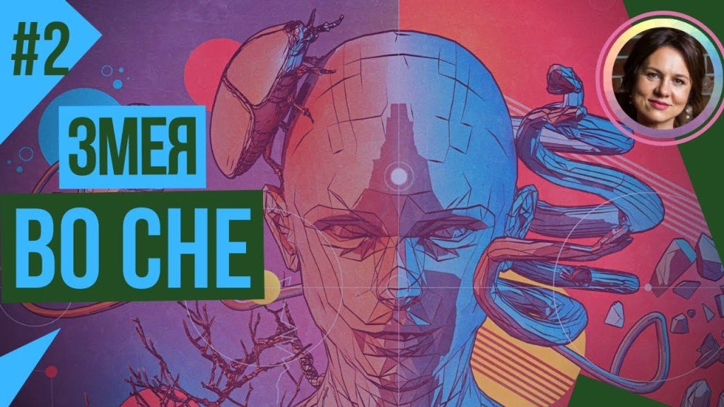 К Чему Снится Змея: символика, толкования и культурные значения