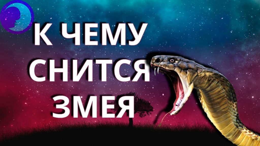 К Чему Снится Змея: символика, толкования и культурные значения