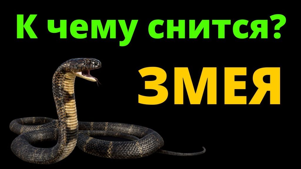 К Чему Снится Змея: символика, толкования и культурные значения