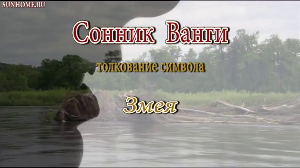 К Чему Снится Змея: символика, толкования и культурные значения
